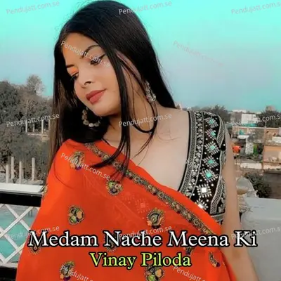 Medam Nache Meena Ki - Vinay Piloda album cover 