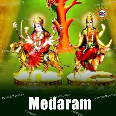 Medaram - Warangal Shankar album cover 