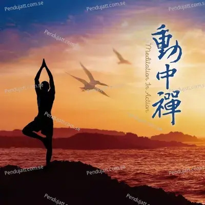 Meditation In Action - Various Artists cover album