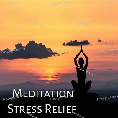 Meditation Stress Relief - Lakhan Hire cover album
