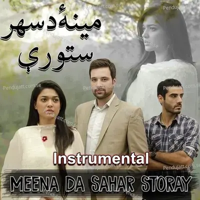 Meena Da Sahar Storay - Shani Arshad album cover 