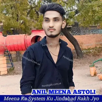 Meena Ka System Ku Jindabad Rakh Jyo - Anil Meena Astoli album cover 