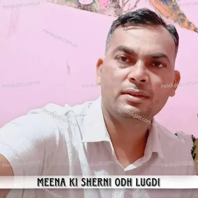 Meena Ki Sherni Odh Lugdi - Singer Pawan Ranoli album cover 