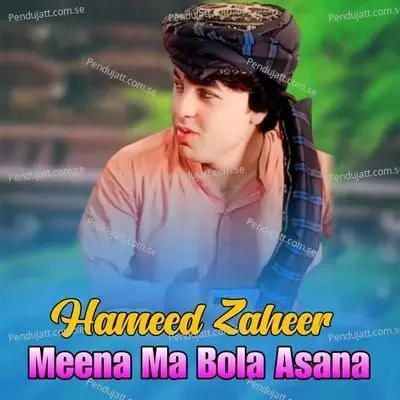 Meena Ma Bola Asana - Hameed Zaheer album cover 