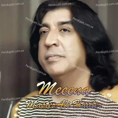 Meena Master Ali Haider - Master Ali Haider album cover 