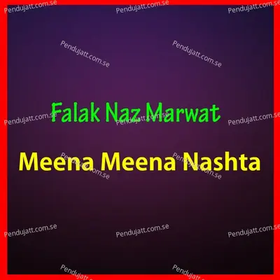 Meena Meena Nashta - Falak Naz Marwat album cover 