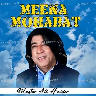 Meena Mohabat - Master Ali Haider album cover 