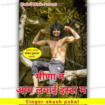 Meena N Aag Lagayi Insta Me - Singer akash pakal album cover 