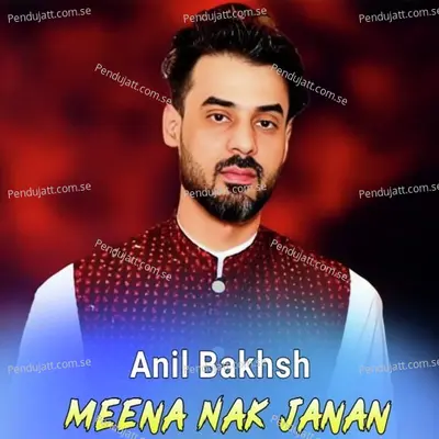 Meena Nak Janan - Anil Bakhsh cover album