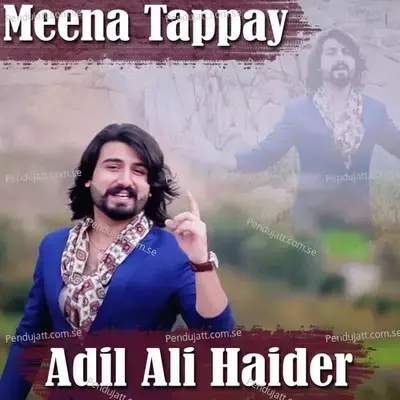 Meena Tappay - Adil Ali Haider album cover 