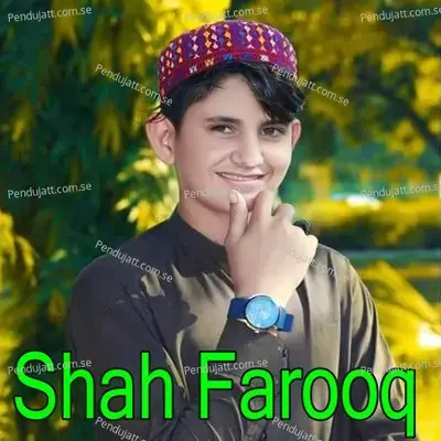Meena Zindabad  Vol  7786 - Shah Farooq cover album