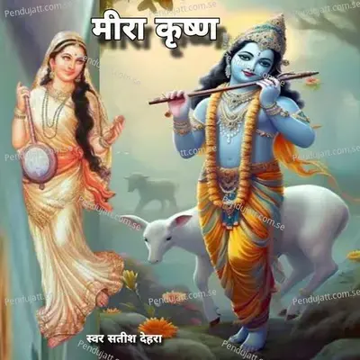 Meera Krishn - Satish Dehra album cover 