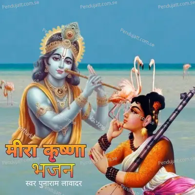 Meera Krishna Bhajan  Pt  1 - Punaram Lavadar album cover 