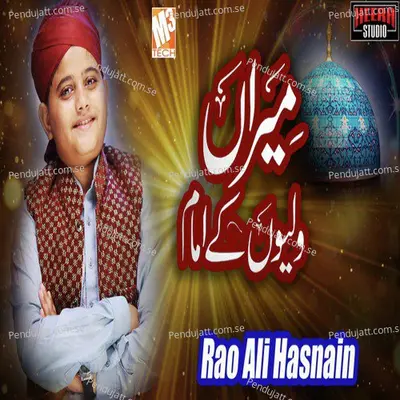 Meeran Waliyon Ke Imam - Rao Ali Hasnain album cover 