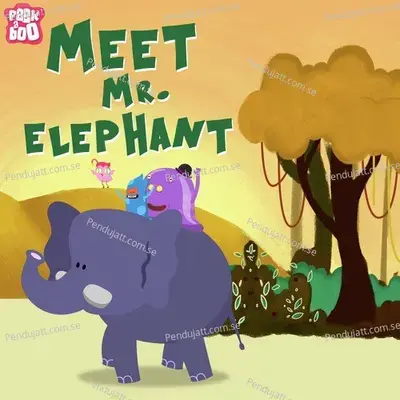 Meet Mr  Elephant - Anish Sharma album cover 