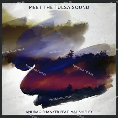 Meet The Tulsa Sound - Anurag Shanker album cover 