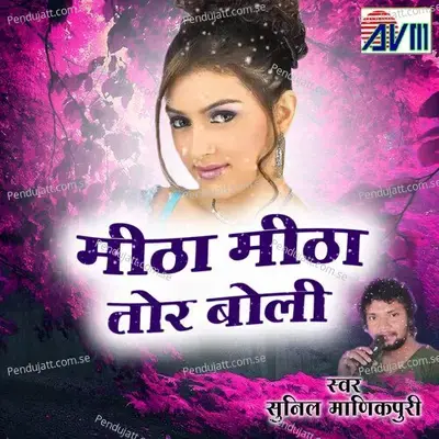 Meetha Meetha Boli Tor - Sunil Manikpuri album cover 