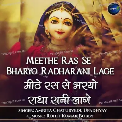 Meethe Ras Se Bharyo Re Radharani Lage - Amrita Chaturvedi album cover 