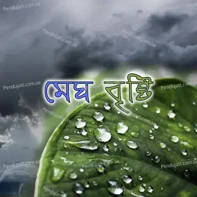 Meghla Din Meghla Mon - Somashree album cover 