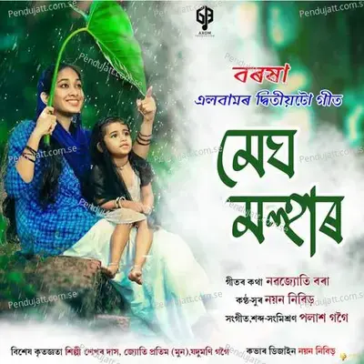 Megh Malhar - Nayan Nibir album cover 