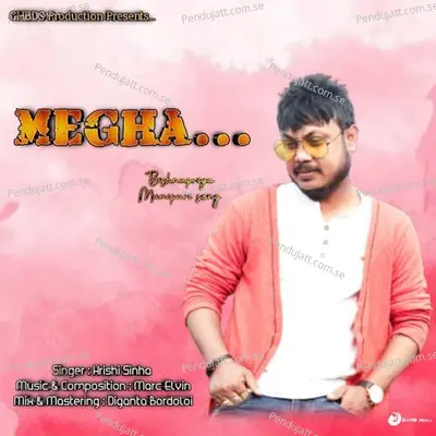 Megha - Hrishi Sinha album cover 