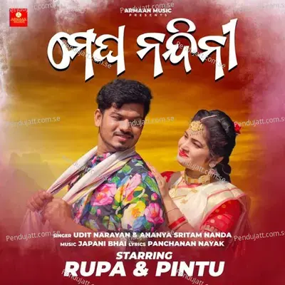 Megha Nandini - Udit Narayan album cover 