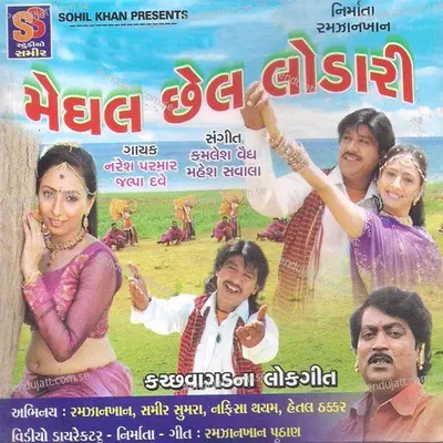 Hali Vagadji Vate Hu To - Naresh Parmar album cover 