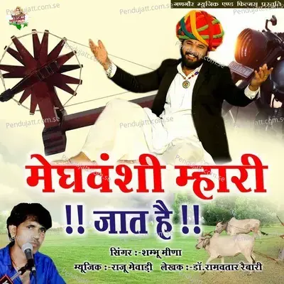 Meghavanshi Mahri Jat He - Shambhu Meena album cover 