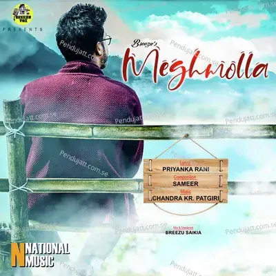 Meghmolla - Breezu Saikia album cover 