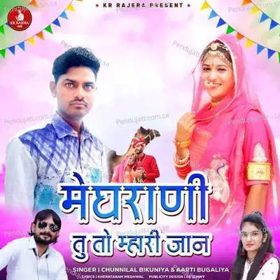 Meghrani Tu To Mhari Jaan - Chunnilal Bikuniya album cover 