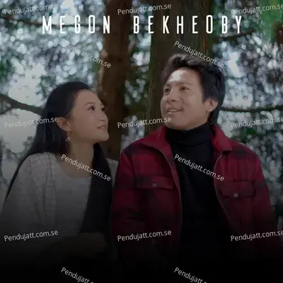 Megon Bekheoby - Kailash Boro album cover 