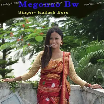 Megonao Bw - Kailash Boro album cover 