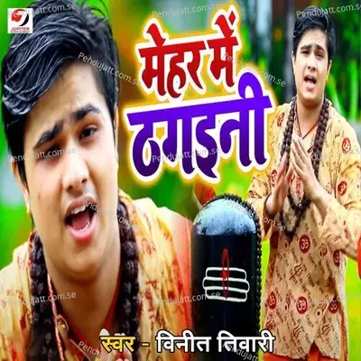 Mehar Me Thagaini - Vineet Tiwari album cover 