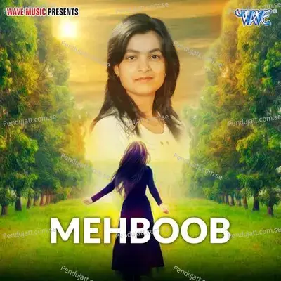 Mehboob Ki Mehandi - Mohini Pandey Priti album cover 