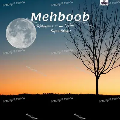 Mehboob - Amjad Hassan RJP album cover 