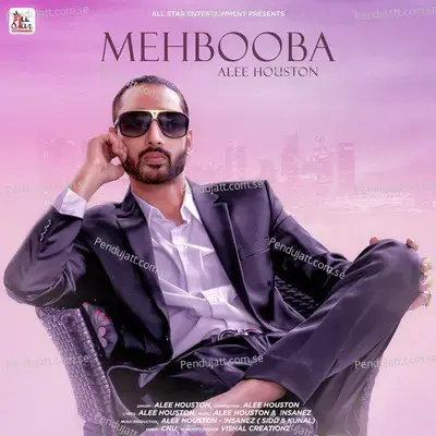 Mehbooba - Alee Houston album cover 