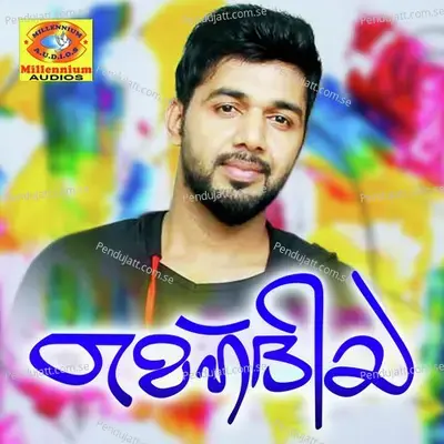 Mehdiya - Salim Kodathur cover album