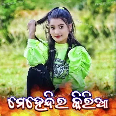 Mehendi Ra Kiriaa - Sunil Sagar album cover 