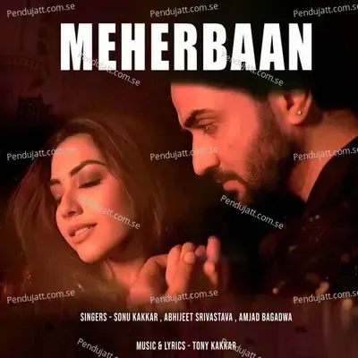 Tera Mera Pyaar - Tony Kakkar album cover 