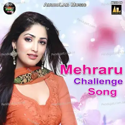 Mehruro Challenge - Satrudhan Lal Yadav album cover 