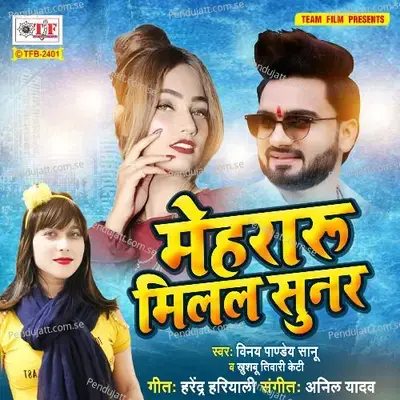 Mehraru Milal Sunar - Vinay Pandey Sanu album cover 