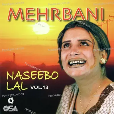 Tu Meri Zindagi Hai - Naseebo Lal album cover 