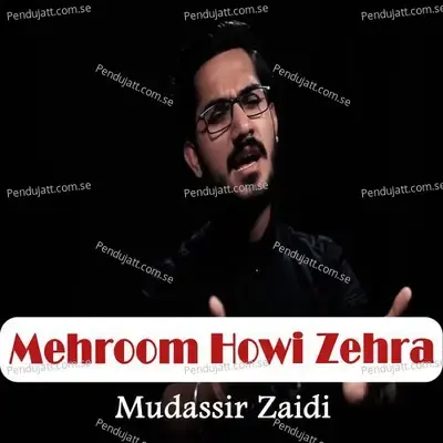 Mehroom Howi Zehra - Mudassir Zaidi album cover 