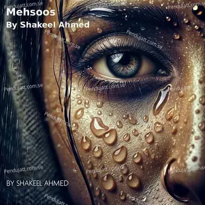 Mehsoos - Shakeel Ahmed album cover 