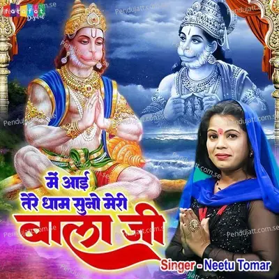 Mein Aai Tere Dham Suno Meri Bala Ji - Neetu Tomar album cover 