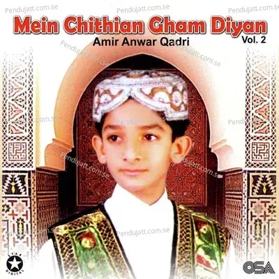 Saba Dare Mustafa Te Ja Ke - Amir Anwar Qadri album cover 