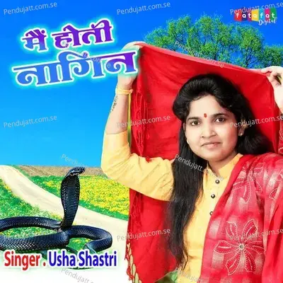 Mein Hoti Nagin - Usha Shastri album cover 