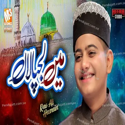 Mein Lajpalan - Rao Ali Hasnain album cover 