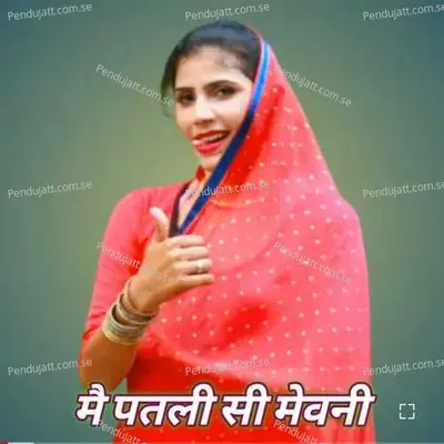 Mein Patli Si Mewani - Aslam Singer Mewati album cover 