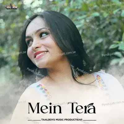 Mein Tera - Safwan Sha Vittal album cover 